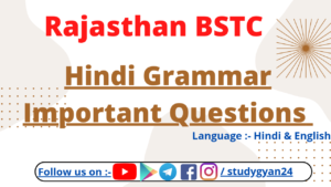 BSTC Hindi Grammar Important MCQ Questions